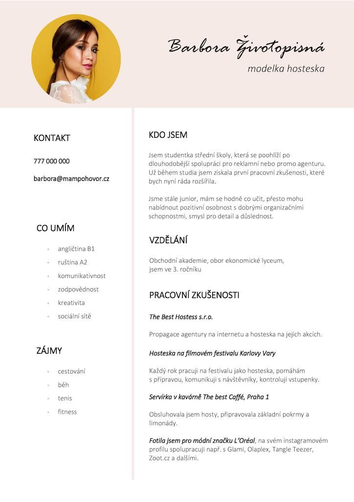  ivotopis A Motiva n Dopis Vzor Ke Sta en Zdarma