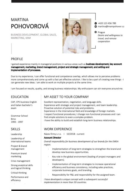 Popis Pracovn N pln V ivotopisu VZOR